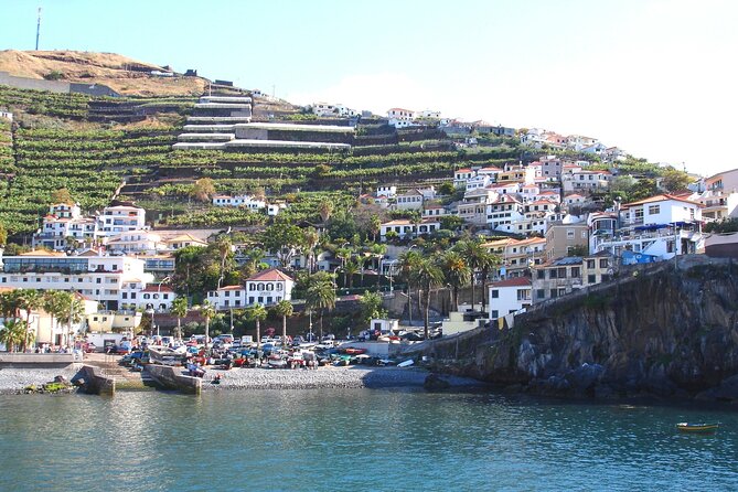Funchal Hop-On Hop-Off Tour 3 in 1 - Route 2: Câmara de Lobos, promenade time and Churchill’s favorite vibe