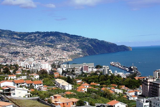 Funchal Hop-On Hop-Off Tour 3 in 1 - Buses, comfort, and the onboard audio reality check