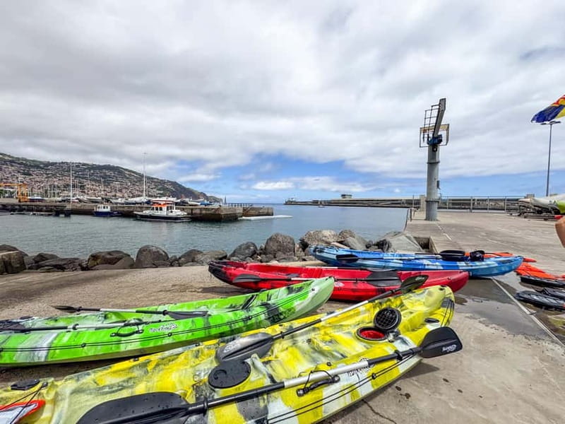 Funchal: Kayak and Snorkel Tour to Garajau NR - Price and value: why €35 feels fair for what you get