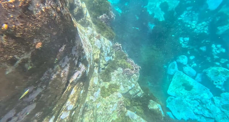 Funchal: Kayak and Snorkel Tour to Garajau NR - Garajau Natural Reserve: paddling in a marine-protected zone