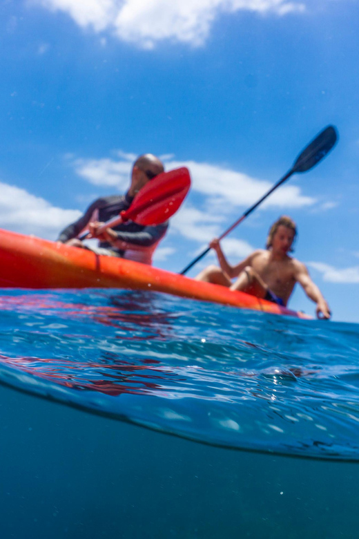 Funchal: KAYAK Rental or Guided tour with snorkeling - Wetsuits and comfort: thin gear is available, but you stay in control