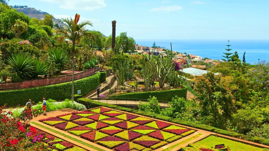 Funchal: Madeira Botanical Garden Tuk-Tuk Tour + Old Town - First, the tuk-tuk ride makes Funchal feel effortless
