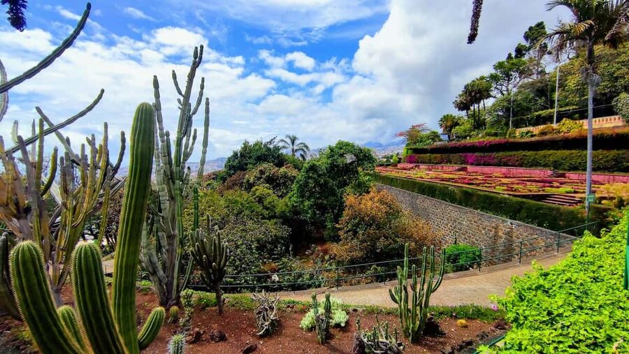 Funchal: Madeira Botanical Garden Tuk-Tuk Tour + Old Town - Price and logistics: what $44 gets you, and what it does not