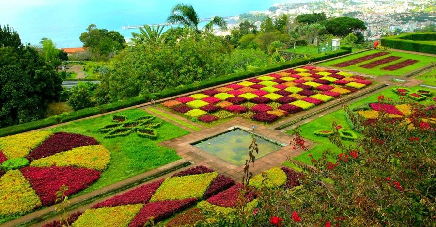 Funchal: Madeira Botanical Garden Tuk-Tuk Tour + Old Town - Who should book this tuk-tuk + Old Town combo