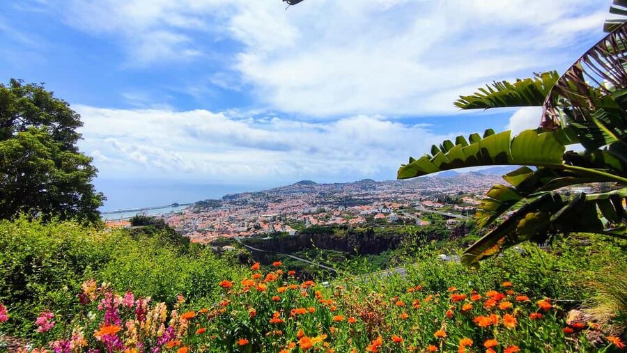 Funchal: Madeira Botanical Garden Tuk-Tuk Tour + Old Town - The best way to enjoy your garden hour