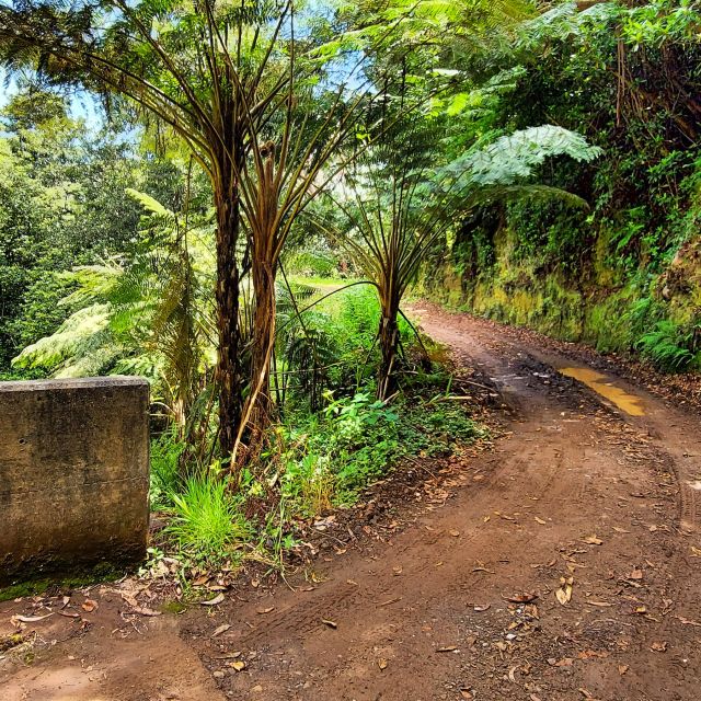 Funchal: Madeira Island 4x4 Private Customizable Tour - Sea-Cliff Views: The Parts of Madeira Most People Miss