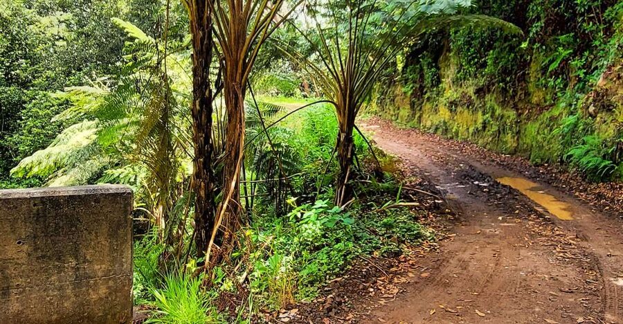 Funchal: Madeira Island 4x4 Private Customizable Tour - Porto Moniz Natural Swimming Pools: Your Main Break