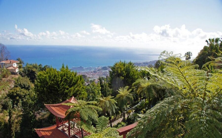 Funchal: Monte Palace Tropical Gardens Tuk Tuk Tour - Monte Palace Tropical Gardens: What You Get in the Time Allotted