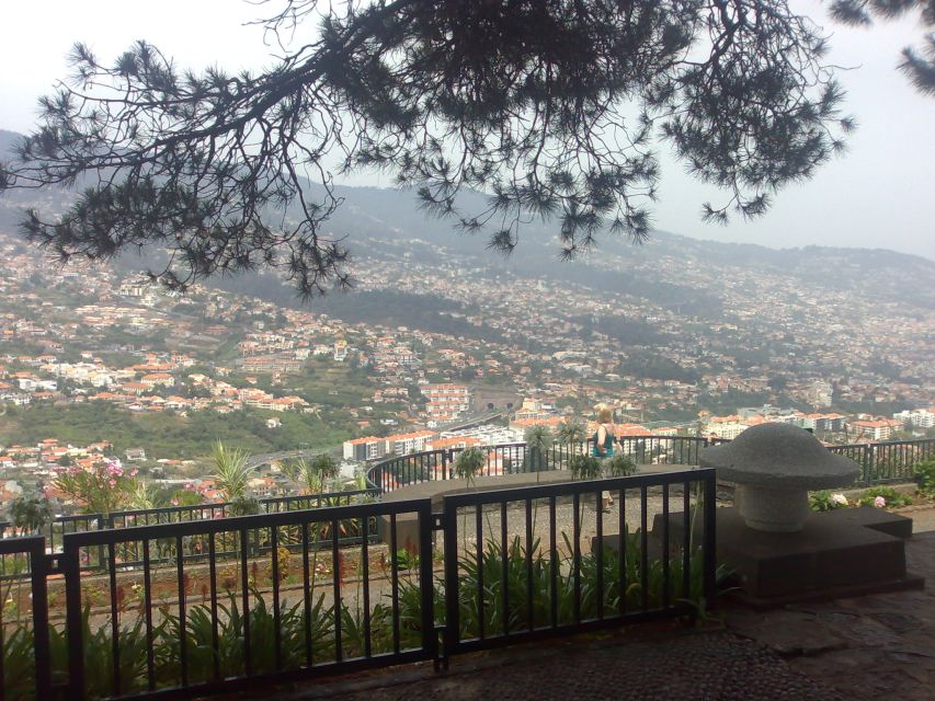 Funchal: Nuns Valley Half Day Tour - Price and what $29 buys you on Madeira