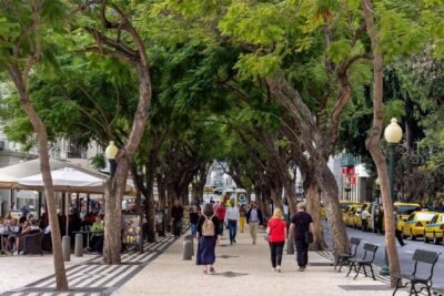 Old Town Walking Tour