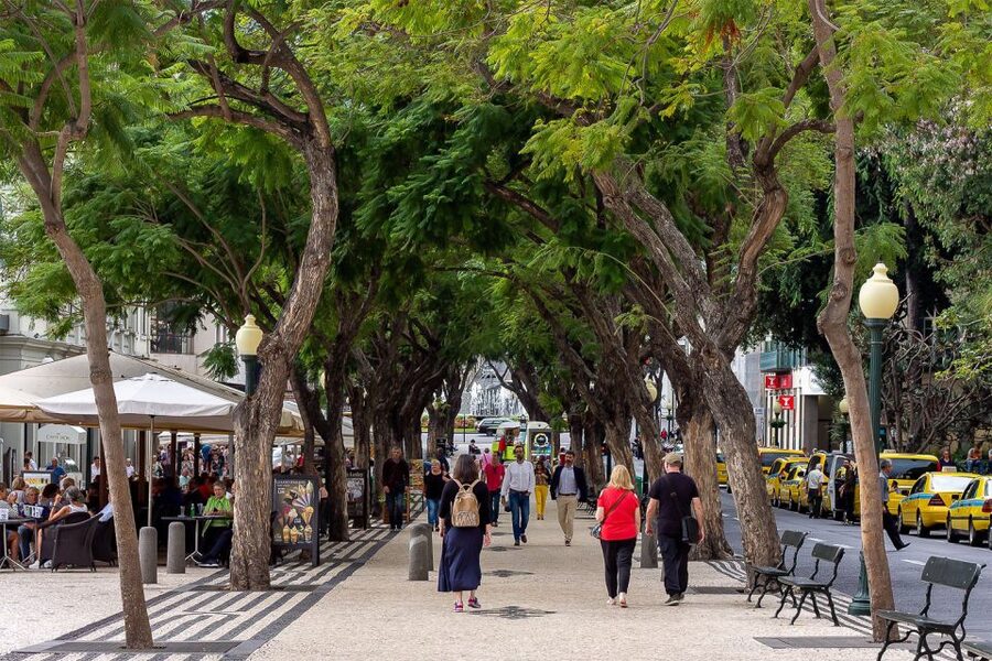 Funchal: Old Town Walking Tour - Funchal City Hall, a 19th-century sweet factory, and the story behind daily life