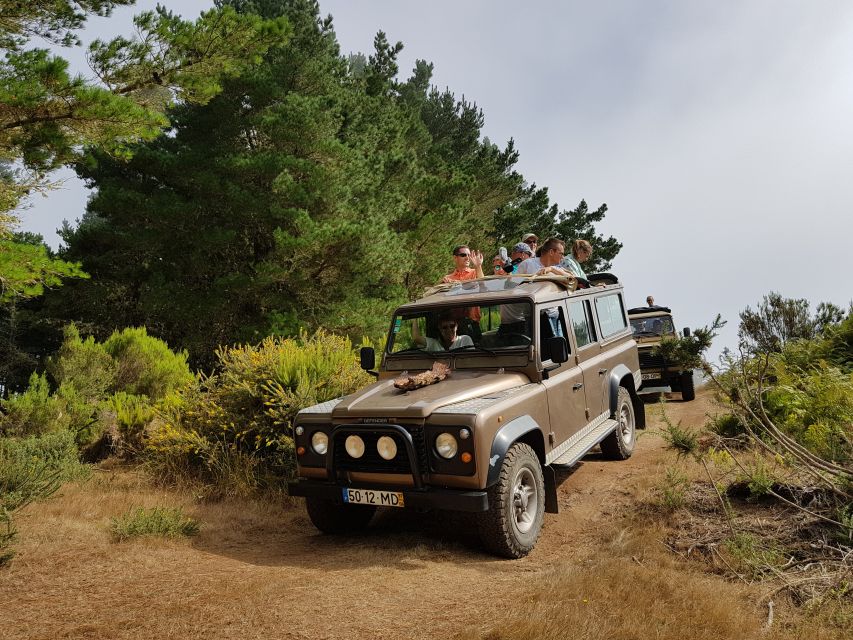 Funchal: Pico Arieiro, Cristo Rei and Dolphins Watching - Key highlights to look forward to