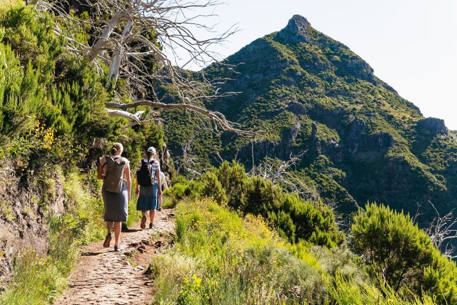 Funchal: Pico do Arieiro Sunrise Hiking Transfer - The Hike Plan: Pico do Arieiro to Pico Ruivo and Down to Achada do Teixeira