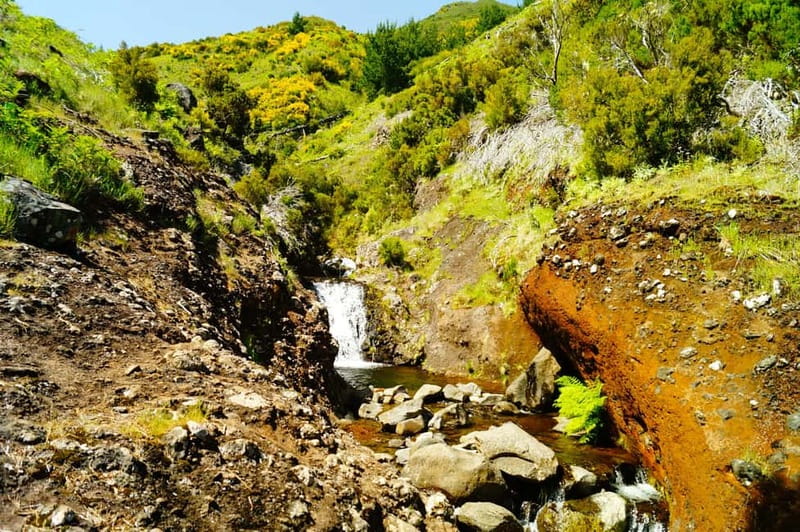 Funchal: Pico do Arieiro Sunrise Plus 2 extra Hiking Trails - Lunch at the Forest cafe, then PR3.1 for Funchal Bay views