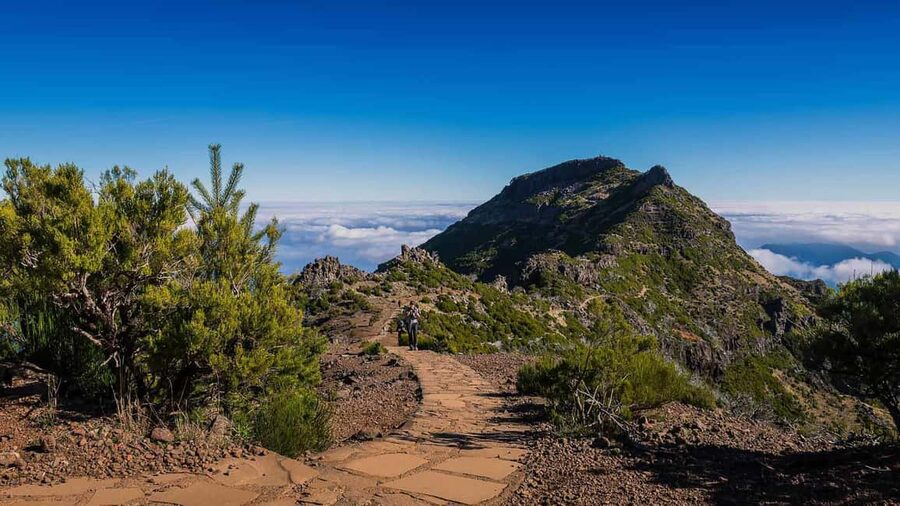 Funchal: PR1.2 Pico Ruivo & Achada Teixeira Hiking Transfer - Views in clear weather vs. fog and wind you need to respect