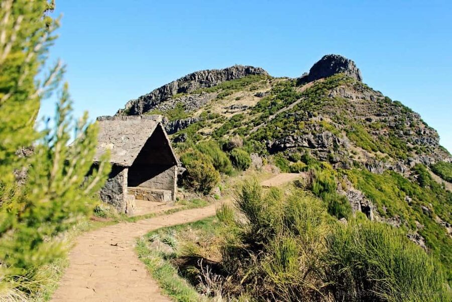 Funchal: PR1.2 Pico Ruivo & Achada Teixeira Hiking Transfer - What to bring, what not to do in the van, and why it matters