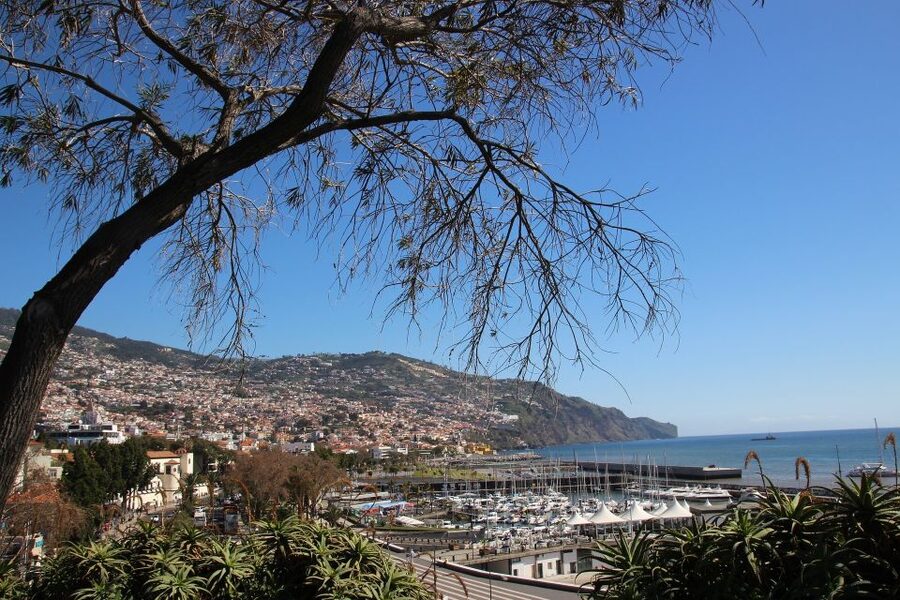 Funchal: Private Walking Tour with a Local - Private Walking Tour in Funchal That Feels Like a Local Meeting
