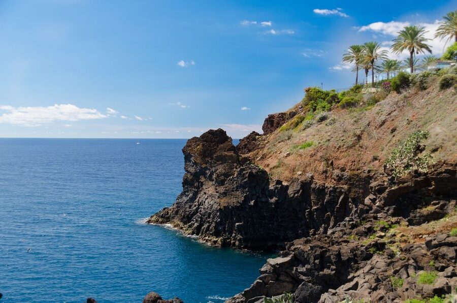 Funchal: Private Walking Tour with a Local - How Customization Works When There’s No Fixed Route