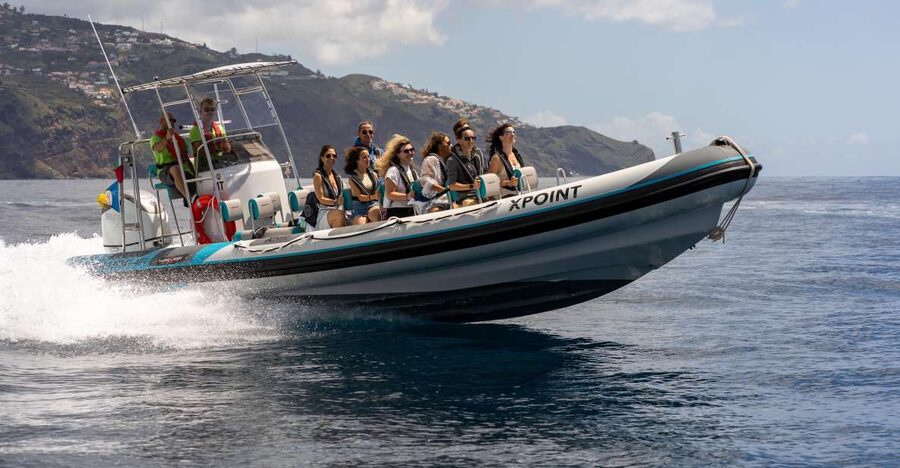 Funchal: RIB Whale Watching Cruise and Optional Dolphin Swim - The dolphin and whale viewing style: close, but governed by animal welfare