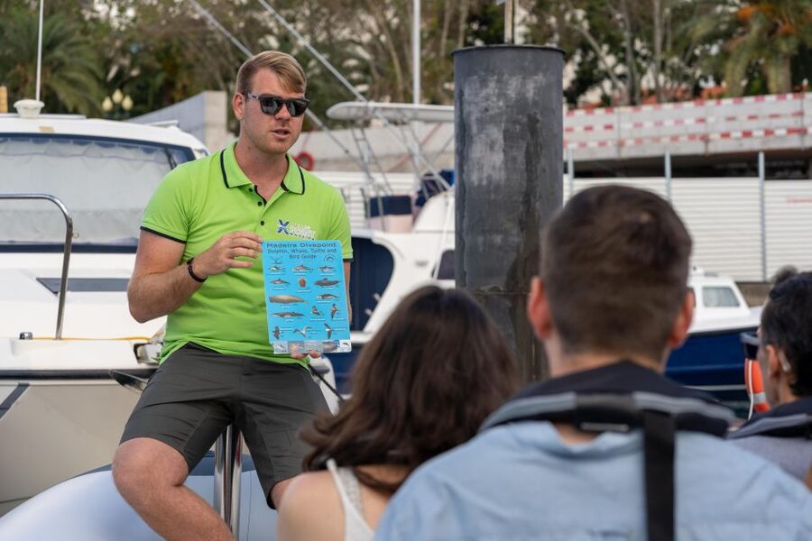 Funchal: RIB Whale Watching Cruise and Optional Dolphin Swim - FAQ
