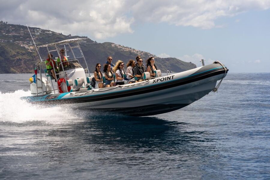 Funchal: RIB Whale Watching Cruise and Optional Dolphin Swim - Out past the harbor: how the crew searches along Madeira’s coast