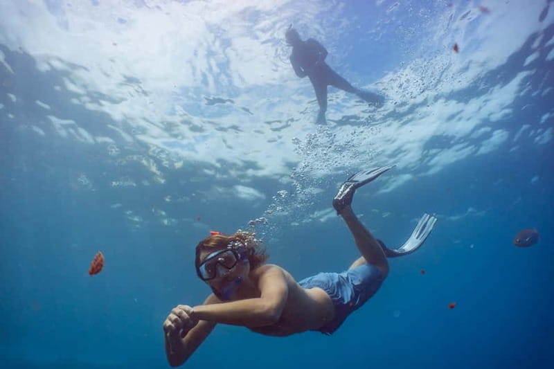 Funchal: Snorkeling Adventure in Eco-Park / Shore or by Boat - The Pre-Water Lesson: How They Help You Snorkel Without Guesswork