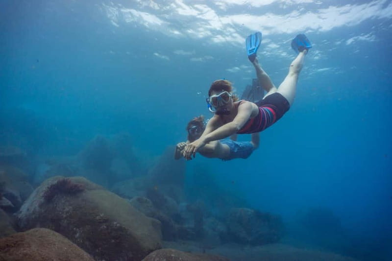 Funchal: Snorkeling Adventure in Eco-Park / Shore or by Boat - Facilities at the Pestana Carlton: Showers and Changing Rooms