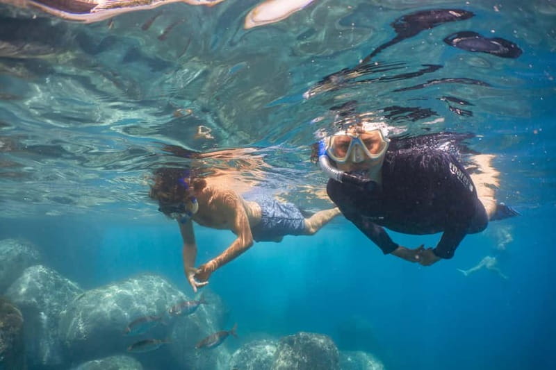 Funchal: Snorkeling Adventure in Eco-Park / Shore or by Boat - Two Ways to Snorkel, Shore Reef or Protected Reserve by Boat