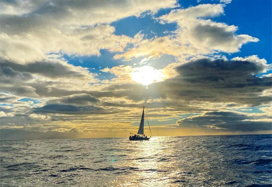 Funchal: Sunset Sailing Tour - Wildlife Watching for Dolphins and Whales: What’s Realistic