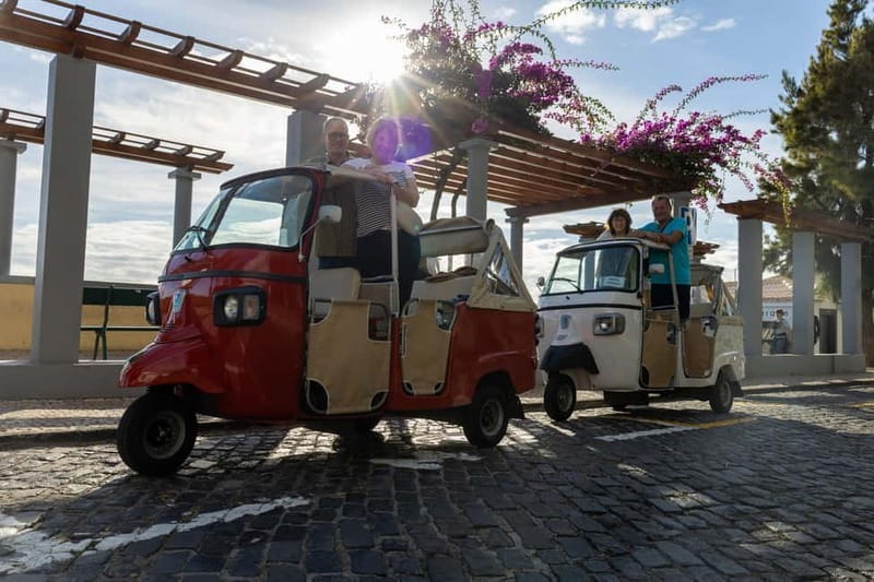 Funchal: Tuk Tuk Tour to the Most Breathtaking Viewpoints - Getting Around Funchal, Without the Stress