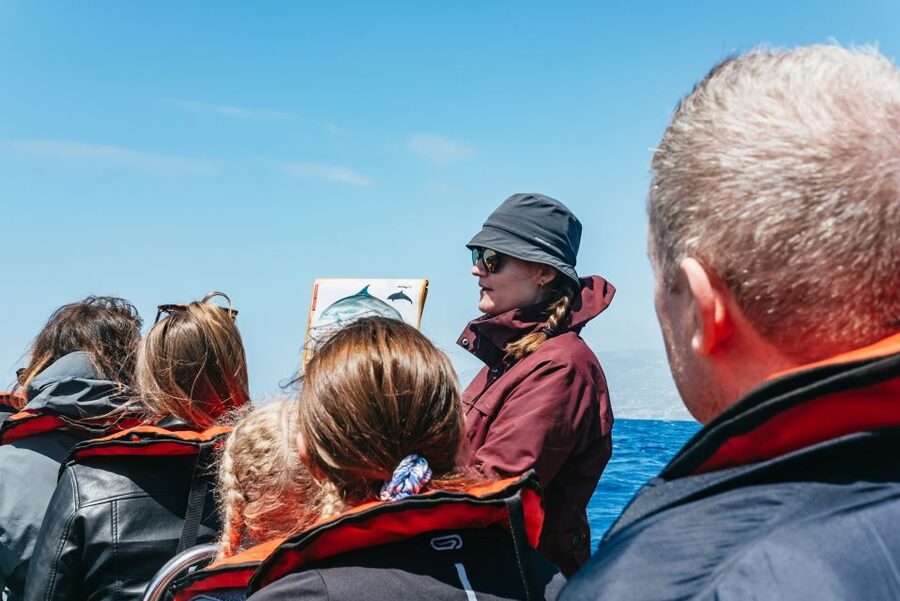 Funchal: Whale and Dolphin Watching Speed Boat Tour - Seeing 1 to 4 species: why the day’s outcome still feels worth it