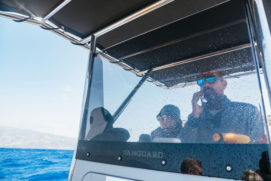 Funchal: Whale and Dolphin Watching Speed Boat Tour - The coastline moments that make the trip more than wildlife math