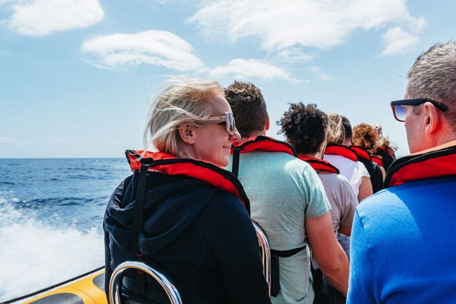 Funchal: Whale and Dolphin Watching Speed Boat Tour - How the marine biologist turns a sighting into understanding