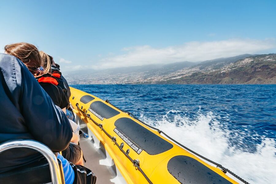 Funchal: Whale and Dolphin Watching Speed Boat Tour - The second-trip promise if cetaceans do not show