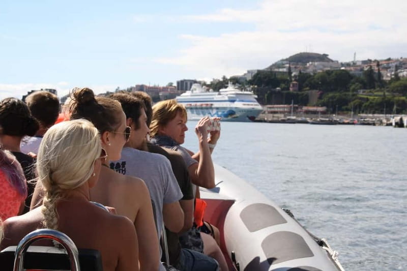 Funchal: Whale Watching and Swimming with Dolphins Cruise - Key things that make this cruise worth your time