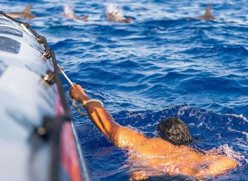 Funchal: Whale Watching and Swimming with Dolphins Cruise - Where you meet in Funchal, and why that matters