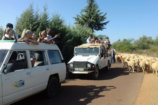 Half-Day Algarve Countryside and Villages Jeep Safari - Benafim café break, toilet time, and a drink if you want