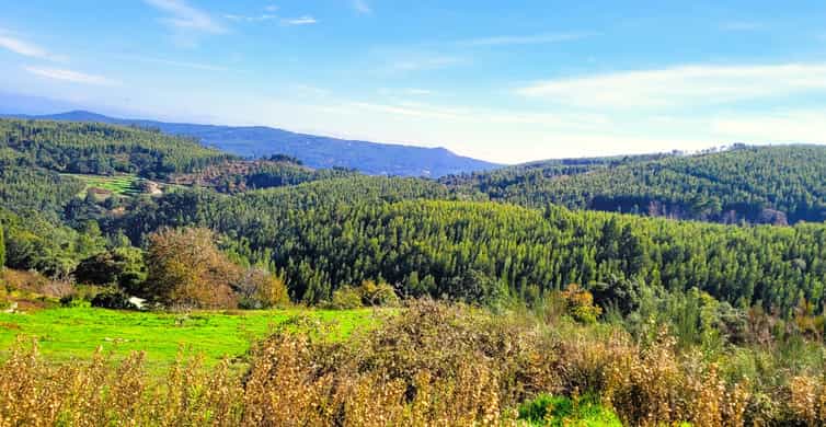 Half-Day Mountain Jeep Safari with firewater tasting - Key things to know before you go