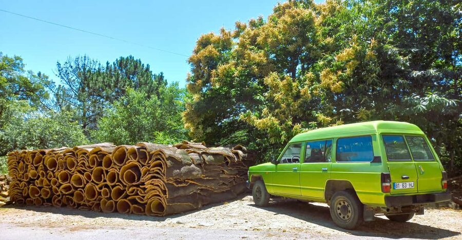 Half-Day Mountain Jeep Safari with firewater tasting - Why This Half-Day Jeep Safari Hits the Algarve’s Best Angles