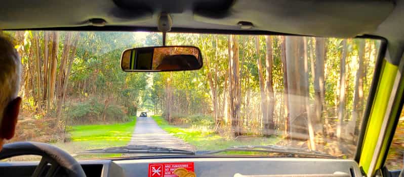 Half-Day Mountain Jeep Safari with firewater tasting - Firewater at the Distillery: Honey, Melosa, and Medronho