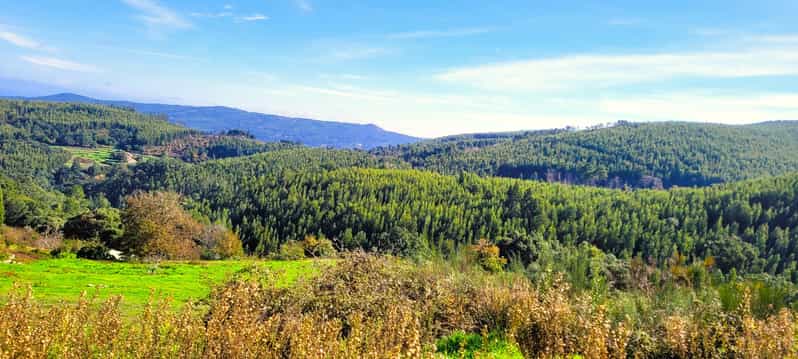 Half-Day Mountain Jeep Safari with firewater tasting - Cork Oak Forest Lessons on Portugal’s Iconic Cork Industry