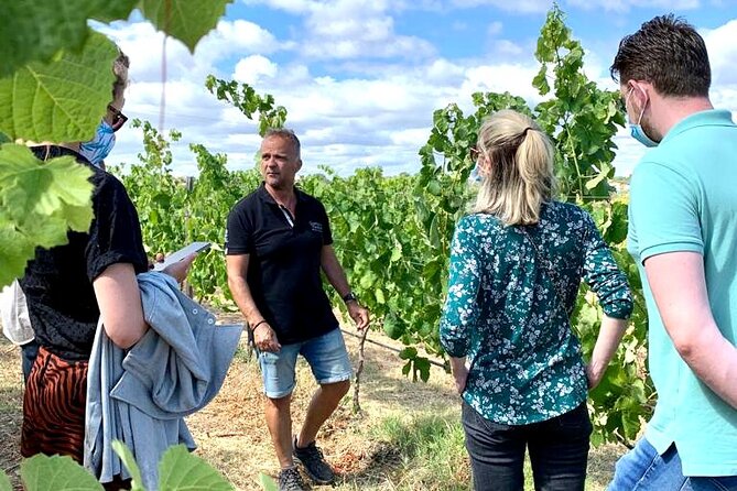 Half Day Safari Tour with Wine Tasting - Quinta do Canhoto Winery Visit: 4 Wines Plus Real Local Bites