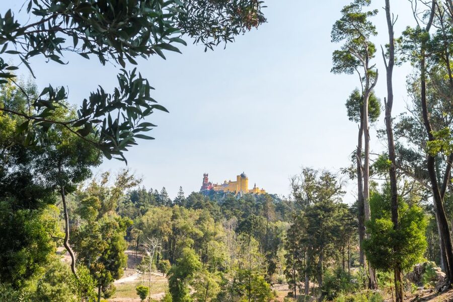 Half-Day Sintra Tour from Lisbon with Transfers - Price and Value: What $176 Buys You (And What It Does Not)
