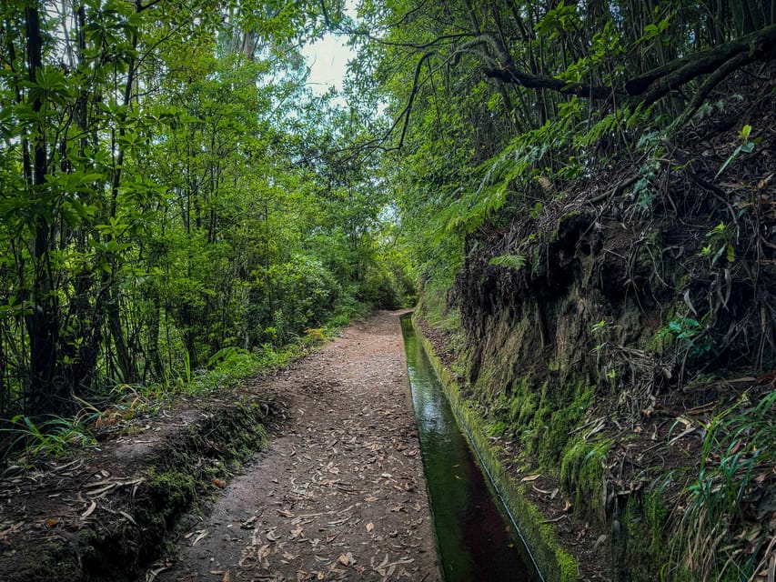 Hiking Madeira: Levada do Rei and the Majestic Laurissilva - Levada do Rei and Laurissilva, the Madeira combo that works