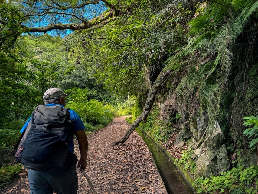 Hiking Madeira: Levada do Rei and the Majestic Laurissilva - Pickup and the São Jorge drive, before your shoes hit dirt