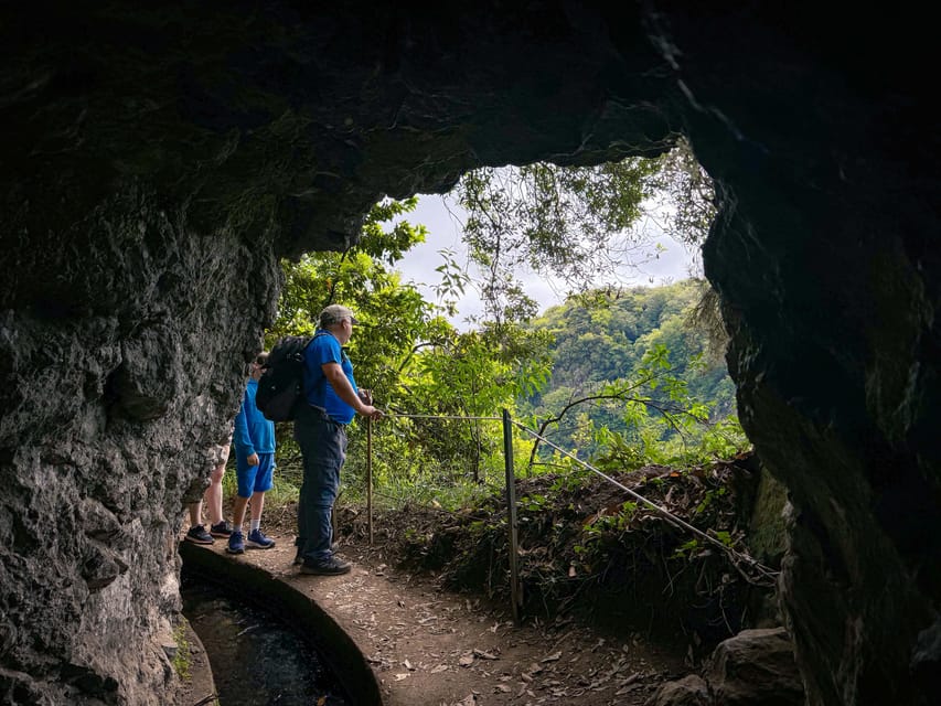 Hiking Madeira: Levada do Rei and the Majestic Laurissilva - Laurissilva Forest in UNESCO protection, where birds start feeling personal