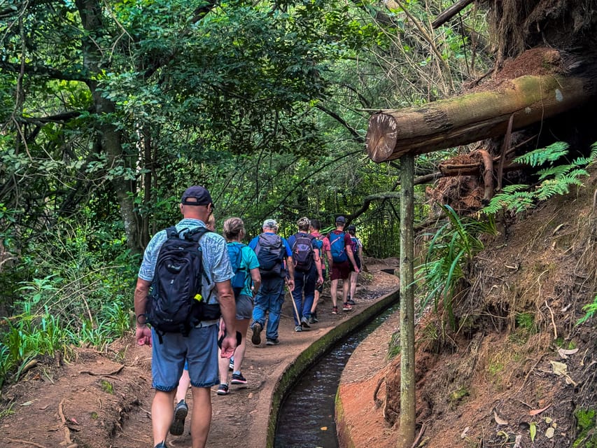 Hiking Madeira: Levada do Rei and the Majestic Laurissilva - What the 7 hours really means for your day