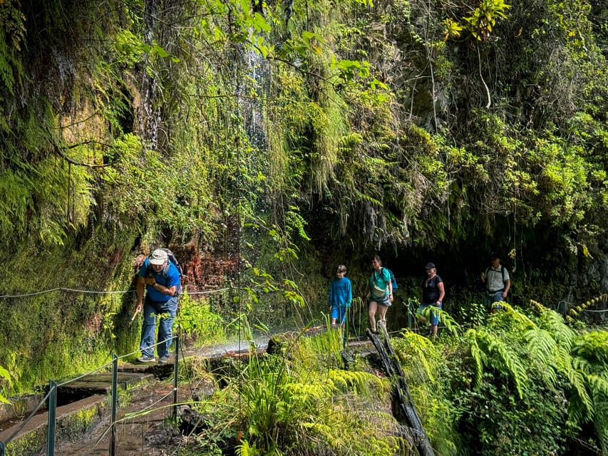Hiking Madeira: Levada do Rei and the Majestic Laurissilva - Price and value, including the 3€ trail contribution