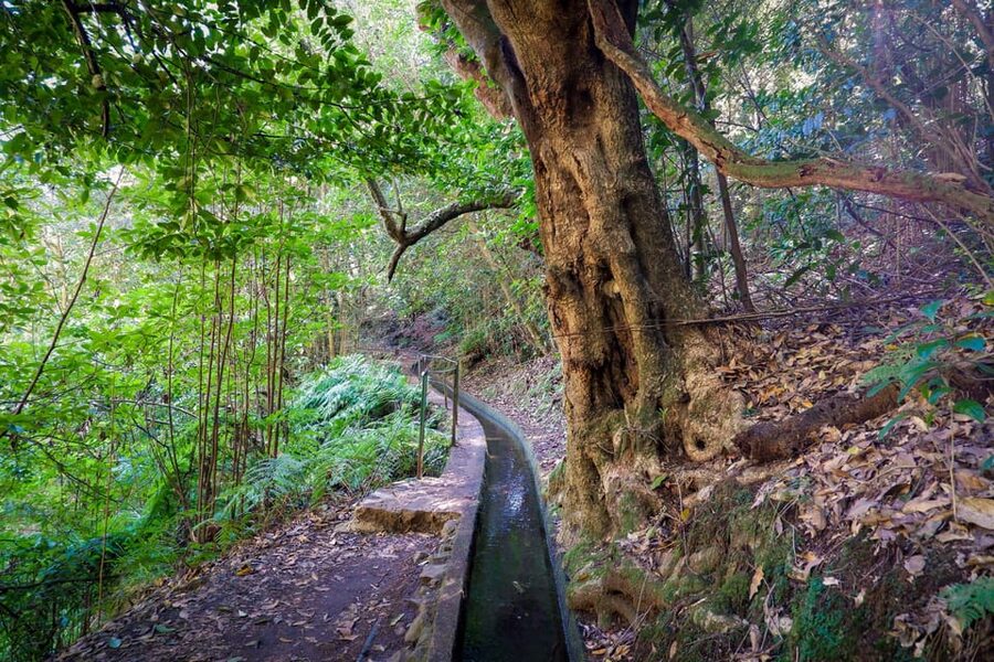 Hiking Madeira: Levada do Rei and the Majestic Laurissilva - What to bring, plus the rules that keep the hike safe