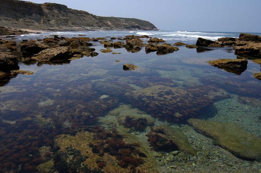 Hiking Tour Along the West Coastline - Safety and who this hike suits best